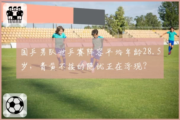 国乒男队世乒赛阵容平均年龄28.5岁,青黄不接的隐忧正在浮现?