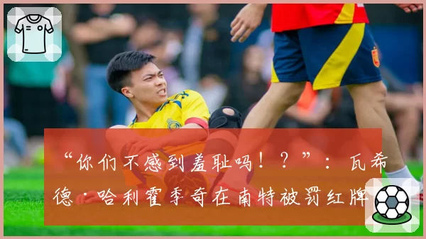 “你们不感到羞耻吗！？”：瓦希德·哈利霍季奇在南特被罚红牌后面向裁判的愤怒