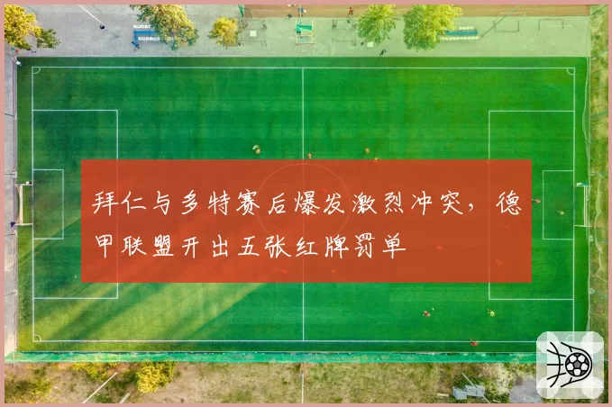 拜仁与多特赛后爆发激烈冲突，德甲联盟开出五张红牌罚单